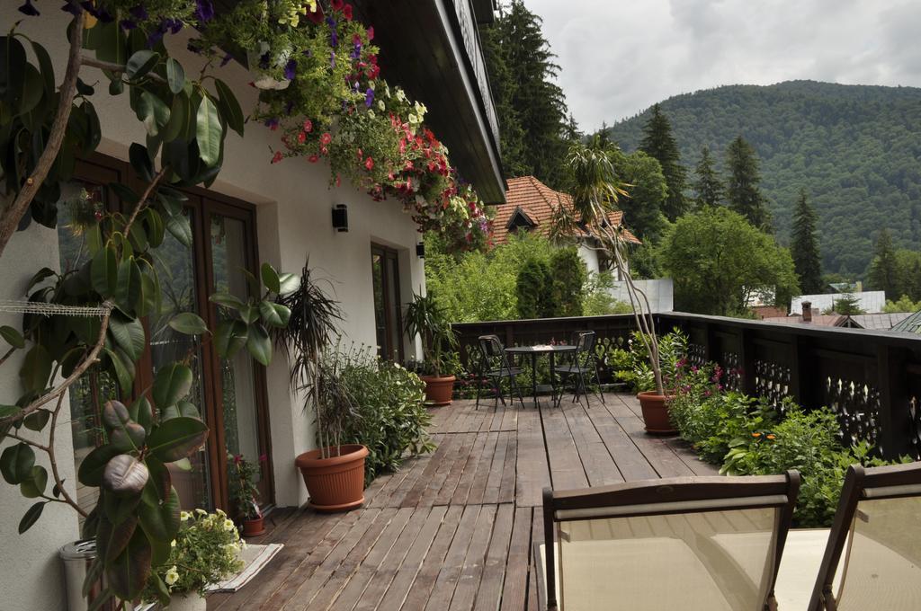 La Monitori Hotel ซินายา ห้อง รูปภาพ